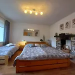 Nela Háj U Loučné Pod Klínovcem *